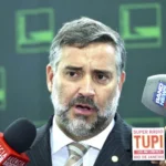 Conheça a história da árvore de Natal, símbolo das festas natalinas