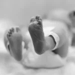 Emendas para a PF disparam após norma para captação de verba e chegam a R$ 37 mi no ano