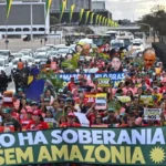 Nobel da Medicina vai para Mary E. Brunkow, Fred Ramsdell e S. Sakaguchi