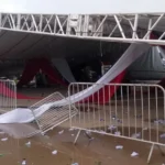 Como o Ômega-3 ajuda a combater a depressão e proteger o coração