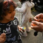 Palmeiras quer minar Flamengo e construir título da Liberta antes da final