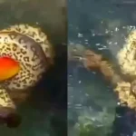 Rússia admite “contatos” com Venezuela sobre possível ajuda a Maduro