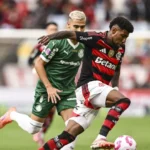 Famosos com partes do corpo um tanto quanto estranhas