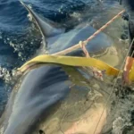 Com câncer, Val Marchiori reencontra o irmão após 15 anos brigados