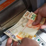 Palmeiras lança pacotes de R$ 1,8 mil a R$ 22 mil para final da Libertadores