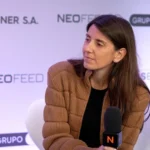 4 receitas de forno saudáveis que vão transformar o seu almoço