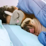 Inflação da comida em casa cai 0,2% em novembro, sexto recuo seguido