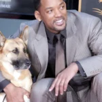 COB vê ano ‘extremamente positivo’ e quer ampliar conquistas em Mundiais