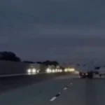 Erva comum do dia a dia pode aliviar estresse e melhorar o bem-estar