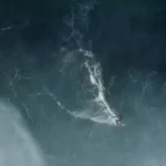 Pacientes que acordaram do coma totalmente diferentes