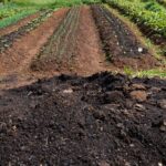 Alerj derruba vetos e restabelece “gratificação faroeste”