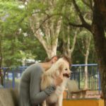 Ventos chegam a 98 km/h em São Paulo e deixam mais de 2 milhões de imóveis sem luz