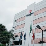 Por que os animais tem expectativas de vida tão diferentes