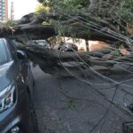 Lula decidirá sobre PL da Dosimetria quando texto chegar ao Executivo