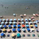 “Estatais não são peso, são patrimônio”, defende ministra da Gestão