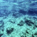 Lula diz esperar que Senado vote indicação de Messias ao STF em 2026