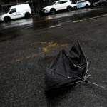 Hariany é desligada de escola de samba após vídeo polêmico viralizar