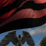 Operação prende 233 agressores de mulheres no estado de São Paulo