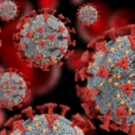 Filipe Luís não vê PSG imbatível e reforça DNA do Flamengo em final