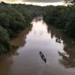 Homem morre em acidente “100% bizarro” em drive-thru do McDonald’s