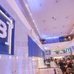 Bois exportados vivos: ONGs denunciam precariedade e riscos ambientais