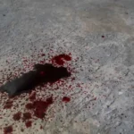 Lula provoca Romeu Zema e diz que adversário ‘não aprendeu a descascar banana’