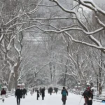 Em ano eleitoral, Flamengo quer se envolver mais em temas políticos em Brasília