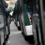 Sinais da natureza que profetizam terremotos e outros desastres naturais