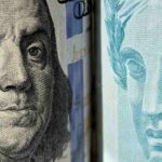 Cosmópolis avança na ampliação de áreas verdes com a implantação da 2ª microfloresta urbana – Prefeitura Municipal de Cosmópolis