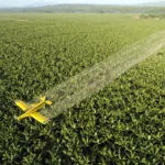 Mudanças no IR beneficiarão 73,5% dos professores da educação básica