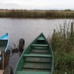 Lula defende cooperação sul-americana contra o crime organizado