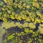 Um país do outro lado do mundo onde a taxa de juros sobe para 0,75% e é recorde em 30 anos