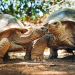 Com venda para o grupo Hindiana, Neogrid é mais uma a decidir pelo fechamento de capital