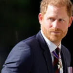 Pará adia para 2030 obrigação de rastrear gado com ‘brinco’ em cada animal