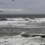 Nunes diz que poderá rescindir contrato com empresas de ônibus