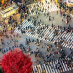 Jejum Intermitente é mesmo perigoso?