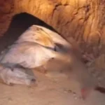 Moraes concede liberdade a Bacellar com uso de tornozeleira e o afasta do comando da Alerj