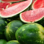 Lula defende que catadores tenham mais acesso à serviços públicos