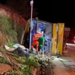 Famosos que interpretaram versões de si mesmos em filmes!