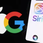 Bolsonaristas reclamam de apoio envergonhado de Tarcísio à pré-campanha de Flávio à Presidência