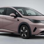 O chá que ajuda o seu cérebro a funcionar melhor, segundo especialistas