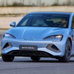 Mosquitos da mata atlântica preferem sangue humano, diz estudo