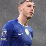 WhatsApp terá anúncios em 2026 e assinatura para remover publicidade