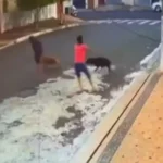 Abacate: receitas rápidas e resultados deliciosas!