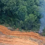 Flávio Bolsonaro vai atrás de ‘recall’ do pai em igrejas evangélicas