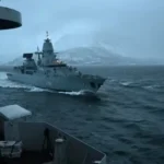 Mosquitos da mata atlântica preferem sangue humano, diz estudo