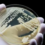 2025 foi o terceiro ano mais quente da história, aponta centro europeu