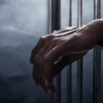 Plantas que atraem dinheiro e boa sorte para sua casa