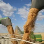 Na Hasbro, “brincadeira” ajuda a treinar seu próximo CEO