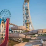 EUA: Promotores renunciam após morte de mulher pelo ICE